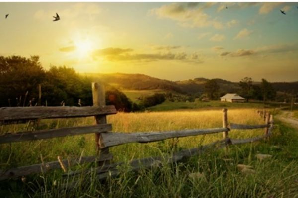 <div class="wcmp-player-container product-211"><audio controlslist="nodownload" data-product="211"  volume="1"  preload="none" data-lazyloading="none" class="wcmp-player track mejs-classic" data-duration="5:59" data-estimated_duration="8"><source src="https://www.furmiliarize.co.uk/wp-content/uploads/wcmp/687e4317438d92f47350a04416b7978e.mp3" type="audio/mp3" /></audio></div>Country Side Sounds